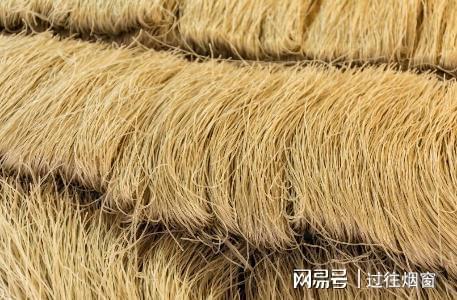 开云体育 开云官网原来红薯粉条也有假的牢记这6字口诀轻松辨别“真假粉条”(图2)