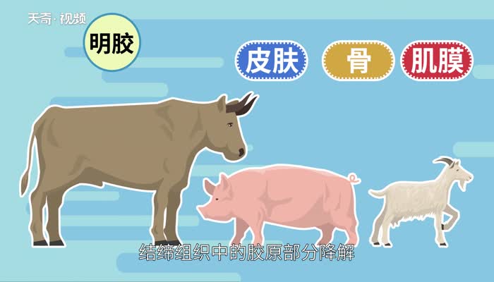 开云 开云体育明胶是什么 明胶是什么做的(图1)
