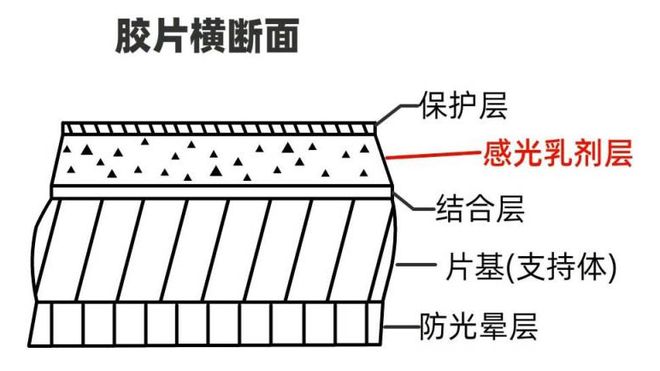 常见胶片的分类和结构开云 开云体育(图3)