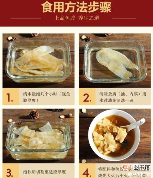 开云 开云体育APP明胶的功效与作用(图1)
