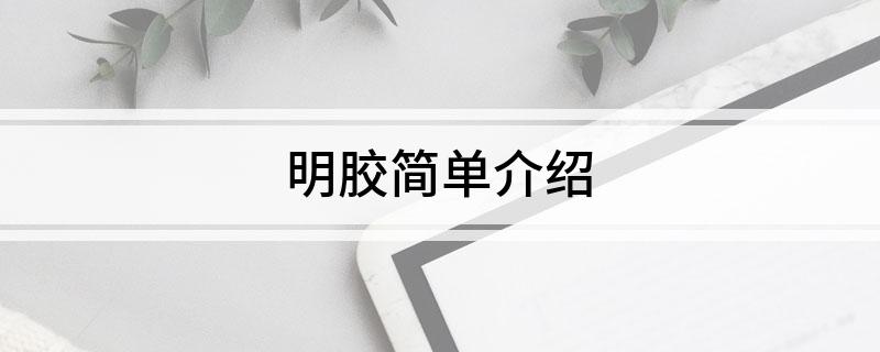 开云体育 开云官网明胶简单介绍(图1)