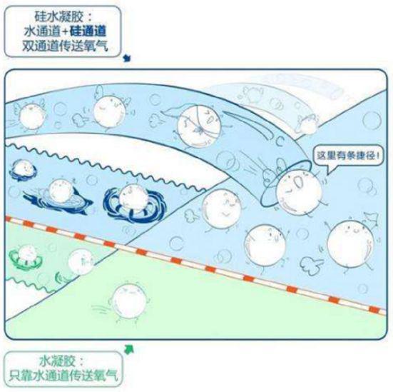 开云 开云体育官网材不知道｜原来你是这样的水凝胶！(图2)
