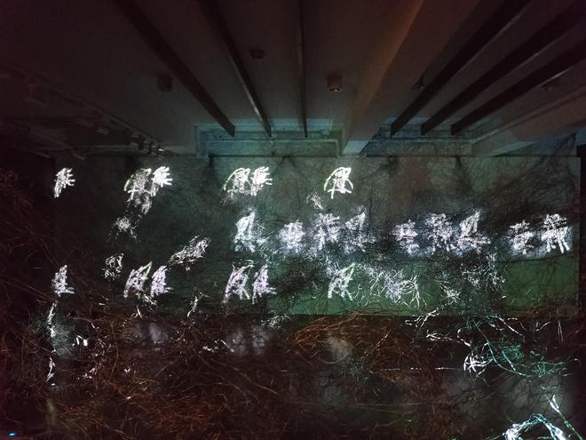 一周艺术人物｜森山大道呈现摄影记忆印度建筑师多开云体育 开云平台西辞世(图6)