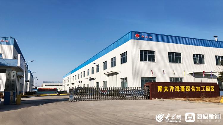 对话企业家②聚大洋集团董事长吴仕开云体育 开云官网鹏：质量与创新为擎 缔造百年“海藻王国”(图6)