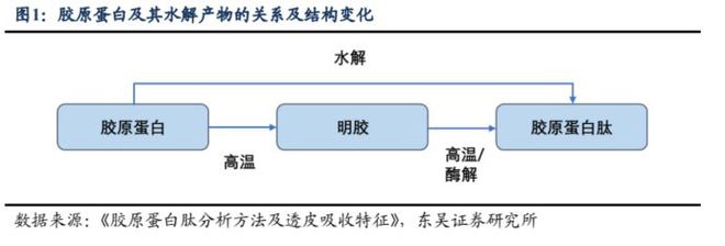 颜值经济深度报告：问道重组胶开云 开云体育平台原全方位解析高壁垒是如何铸就(图2)