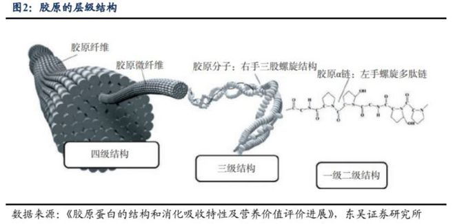 颜值经济深度报告：问道重组胶开云 开云体育平台原全方位解析高壁垒是如何铸就(图4)