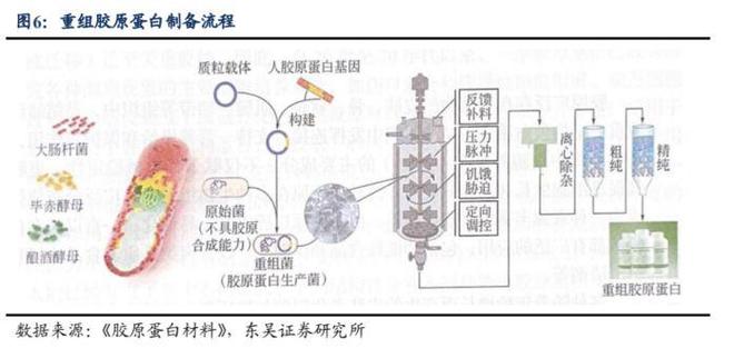 颜值经济深度报告：问道重组胶开云 开云体育平台原全方位解析高壁垒是如何铸就(图8)