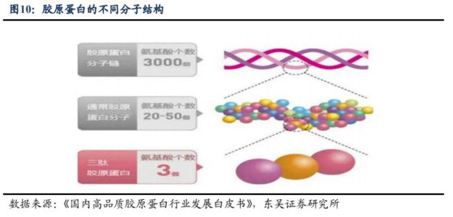 颜值经济深度报告：问道重组胶开云 开云体育平台原全方位解析高壁垒是如何铸就(图14)
