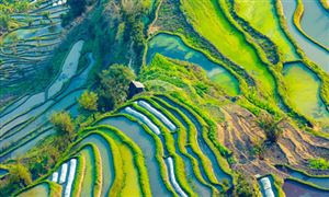 药用明胶开云APP 开云官网入口行业市场增速 药用明胶行业发展空间(图8)
