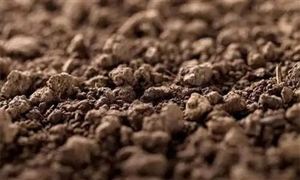 开云体育 kaiyun.com 官网入口明胶行业供给情况分析 2022年明胶行业需求及前景分析(图7)
