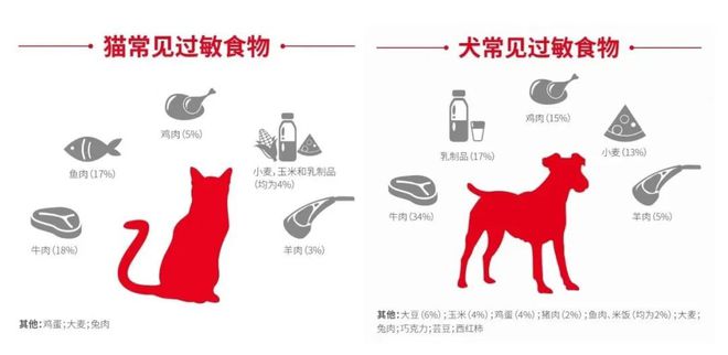 猫吃鱼真的安全么？猫：你开云体育 Kaiyun.com 官网入口只是打脸而我要烂脸！(图4)
