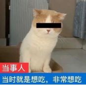 猫吃鱼真的安全么？猫：你开云体育 Kaiyun.com 官网入口只是打脸而我要烂脸！(图10)