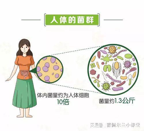Kaiyun 开云体育蒙佩尔兰益生菌效果好吗听宝妈来细说(图1)