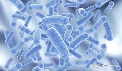 益生菌让这6种人不敢食用成人益生菌排行榜前十居然是他Kaiyun 开云体育们！(图3)