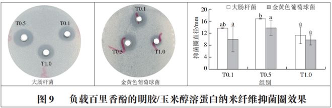 开云 开云体育官网《食品科学》：湖北民族大学邓伶俐副教授等：静电溶吹制备明胶玉米醇溶蛋白百里香酚纳米纤维及其表征(图10)