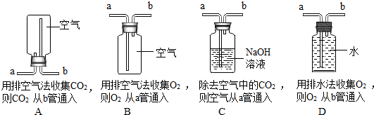 开云 开云体育平台明胶是从动物骨头或结缔组织中提炼出来的胶质(图4)