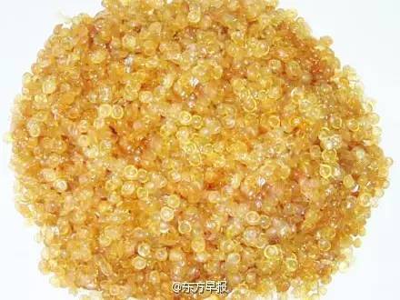 开云体育 Kaiyun.com 官网入口1公斤工业明胶勾兑900公斤香肠！“工业”酸奶、胶囊、粉条…到底有完没完？！(图1)