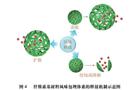 开云体育 开云平台《食品科学》：上海应用技术大学田怀香教授等：纤维素基材料在风味物质包埋和控释中的研究进展(图6)