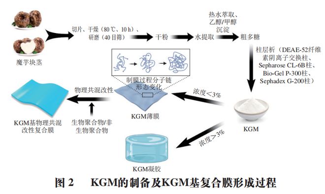 开云 开云体育官网《食品科学》：哈尔滨商业大学朱秀清教授等：魔芋葡甘露聚糖基物理共混改性复合膜研究进展(图4)