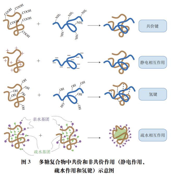 开云 开云体育官网《食品科学》：哈尔滨商业大学朱秀清教授等：魔芋葡甘露聚糖基物理共混改性复合膜研究进展(图5)