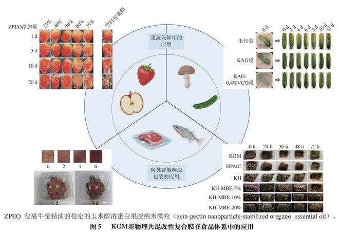 开云 开云体育官网《食品科学》：哈尔滨商业大学朱秀清教授等：魔芋葡甘露聚糖基物理共混改性复合膜研究进展(图8)