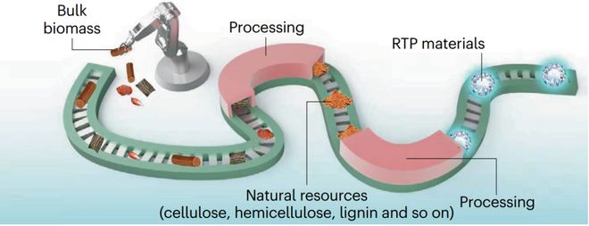 Kaiyun 开云东北林业大学最新Nature Reviews Chemistry源自大自然的室温磷光材料！(图2)