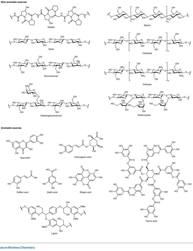 Kaiyun 开云东北林业大学最新Nature Reviews Chemistry源自大自然的室温磷光材料！(图3)