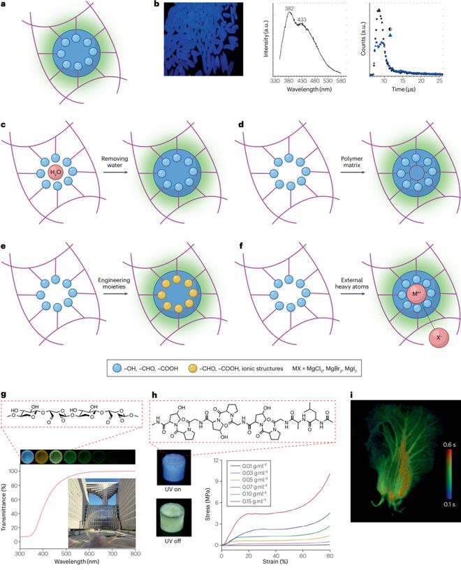 Kaiyun 开云东北林业大学最新Nature Reviews Chemistry源自大自然的室温磷光材料！(图4)