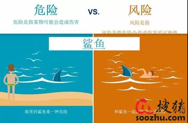 Kaiyun 开云原料生物安全及动物饲料维生素供应链概述(图2)