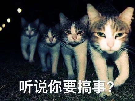 都在说保险理赔难但这个开云 开云体育官网男孩赔了80万(图5)