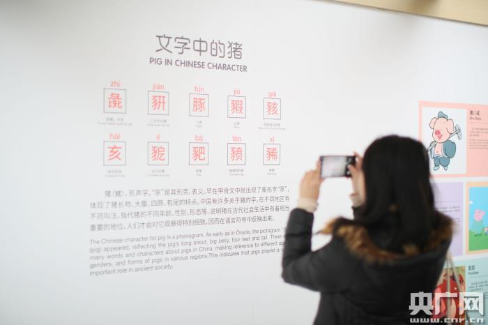 Kaiyun 开云迎新贺岁 上海科技馆推出“猪”事皆宜猪年生肖特展(图2)