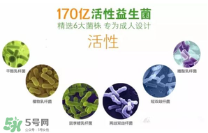Kaiyun 开云益生菌哪个牌子好？哪个牌子的益生菌好？(图1)