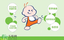 Kaiyun 开云益生菌哪个牌子好？哪个牌子的益生菌好？(图3)