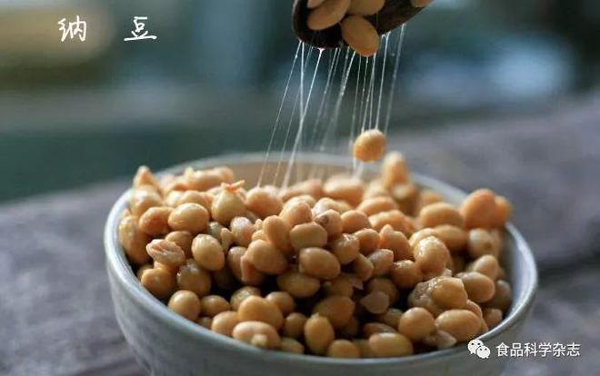 开云APP 开云官网入口《食品科学》：大连工业大学杜明教授等：基于纳豆激酶特性的功能递送载体研究进展(图1)