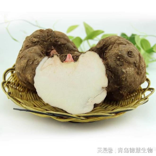 开云 开云体育官网常见食用胶的应用范围(图5)