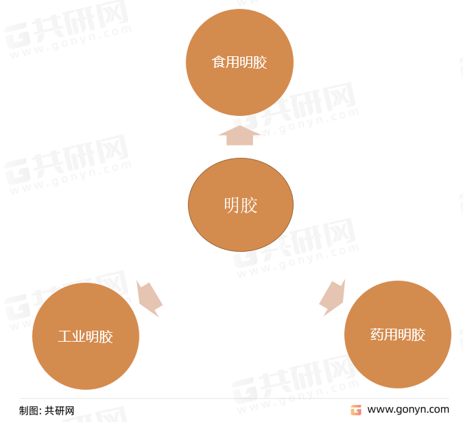 开云体育 Kaiyun.com 官网入口2022年国内明胶供需现状及企业竞争格局[图](图1)