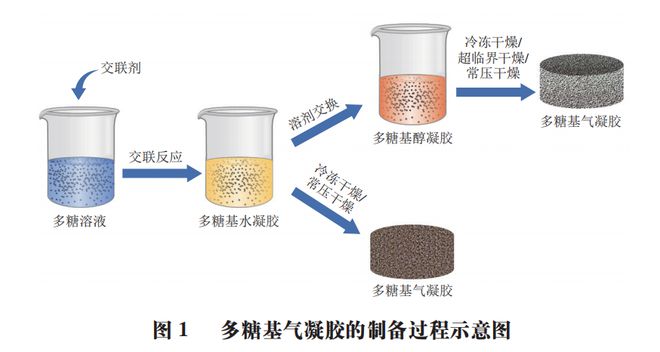 《食品科学》：江南大学王利强教授等：多糖基气凝胶食品包开云体育 开云官网装的研究进展(图2)
