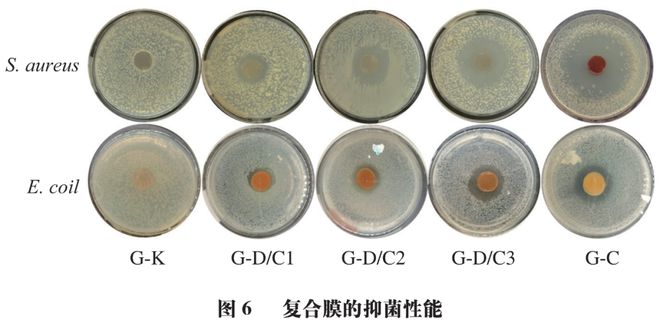 开云体育 Kaiyun.com 官网入口《食品科学》：四川农业大学吴贺君副教授等：含硅藻土负载香芹酚复合体的明胶基缓释抗菌膜的制备与性能(图8)