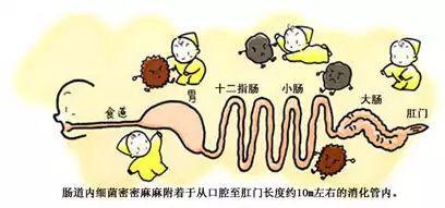 Kaiyun 开云体育不高兴？来点酸奶！(图3)