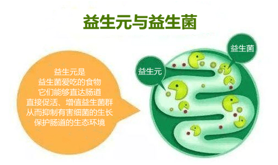 开云 开云体育平台揭秘：益生菌哪个牌子好？听听高级营养师怎么说……(图3)