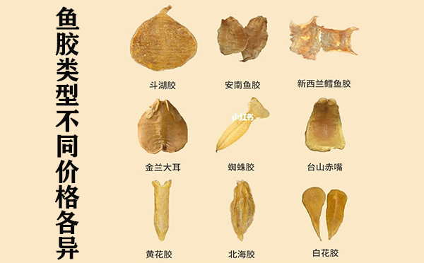 2023鱼胶价格多开云APP 开云官网入口少钱一斤(图1)