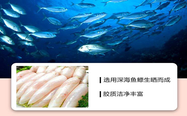 2023鱼胶价格多开云APP 开云官网入口少钱一斤(图7)