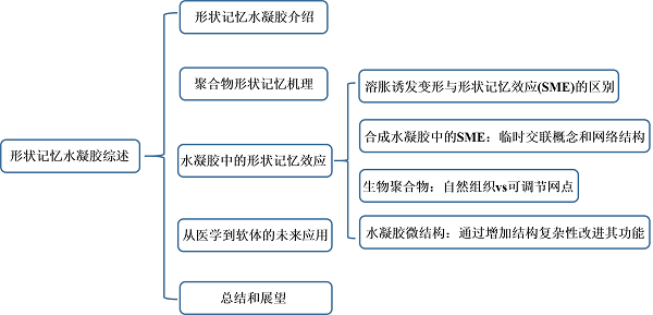 开云体育 开云平台Andreas Lendlein教授Acc Chem Res最新综述：形状记忆水凝胶：通过结构原理的演变实现亲水性聚合物网络的形状切换(图1)